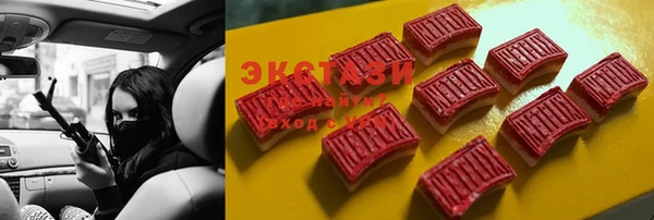 ECSTASY Алзамай