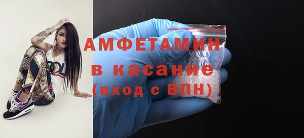 ECSTASY Алзамай