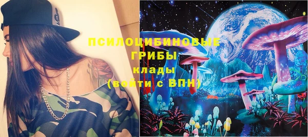 ECSTASY Алзамай