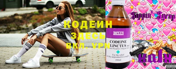 ECSTASY Алзамай