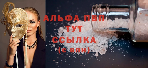 ECSTASY Алзамай