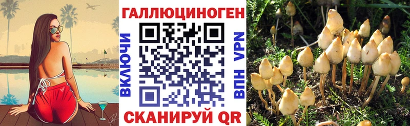 Галлюциногенные грибы мицелий  МЕГА   Карачев 